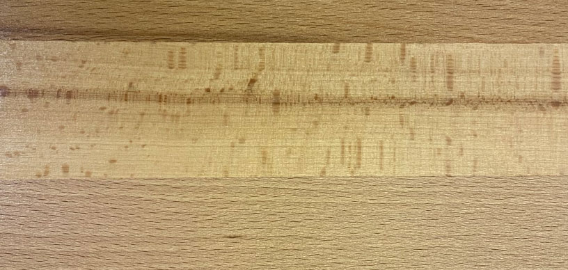 colore legno Neutro OL