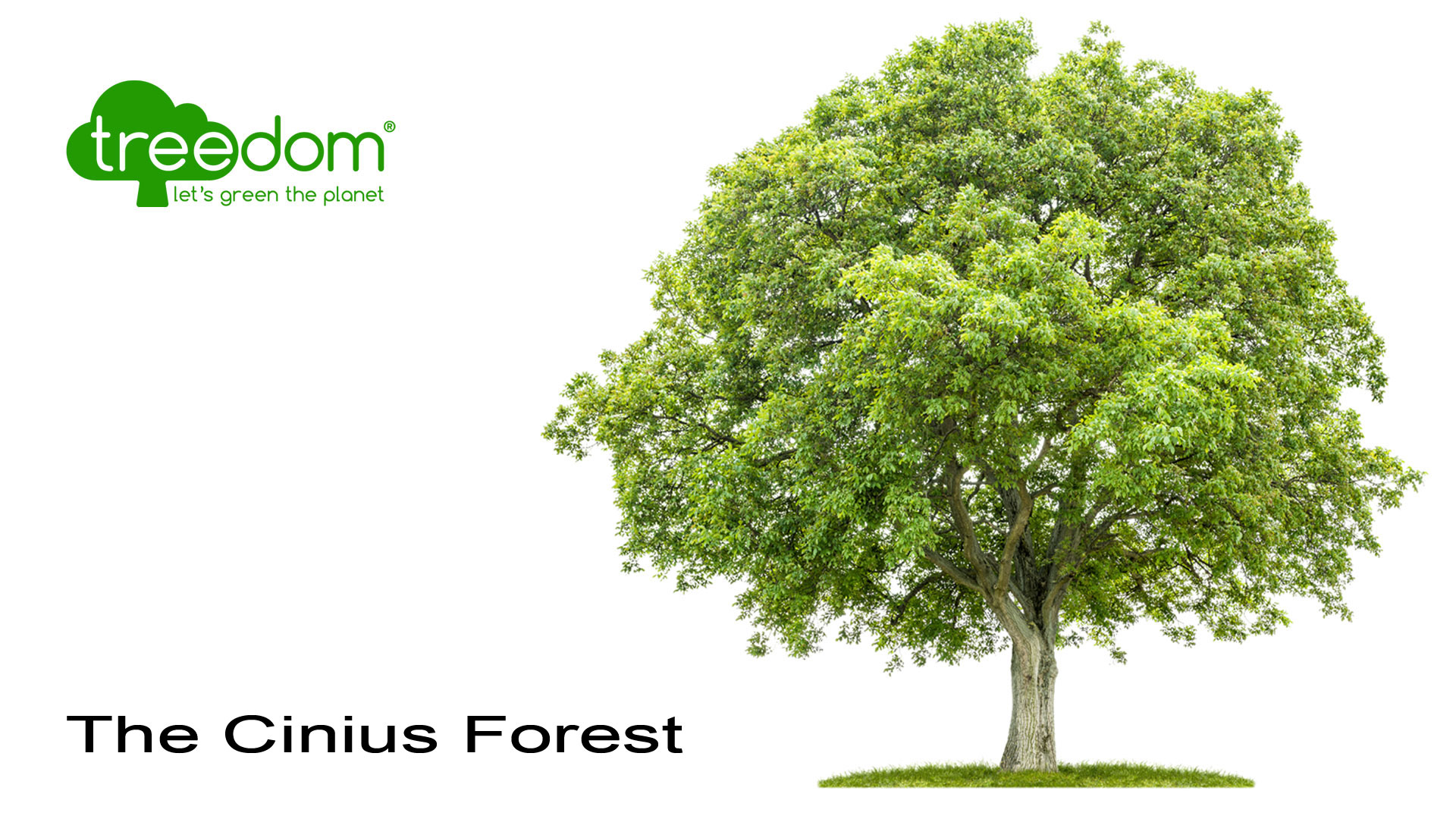 Request a quote